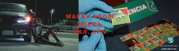 гидра Кинешма