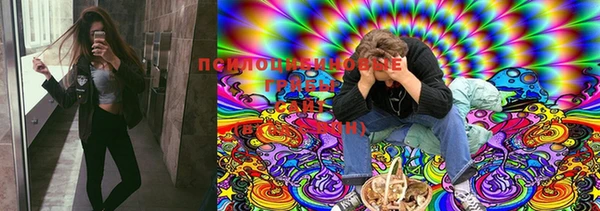 кокс Киреевск