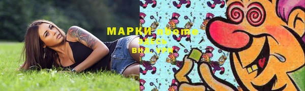 гидра Кинешма
