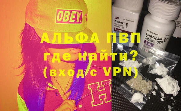 гидра Кинешма
